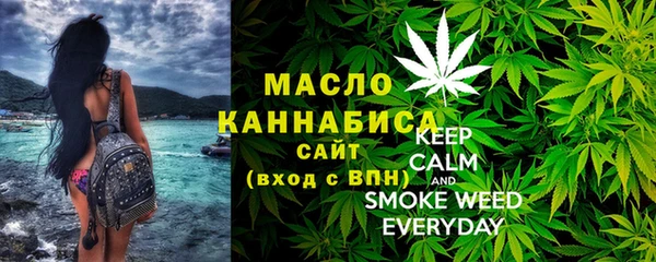 соль ск Новозыбков
