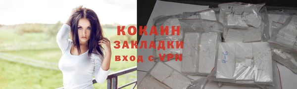 соль ск Новозыбков