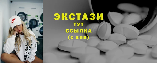 соль ск Новозыбков