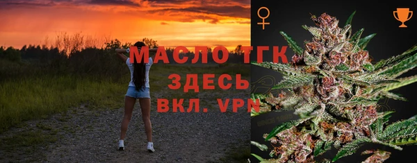 соль ск Новозыбков
