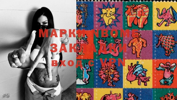 соль ск Новозыбков