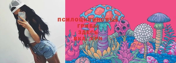 экстази Новодвинск
