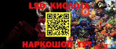 ПСИЛОЦИБИНОВЫЕ ГРИБЫ Волжск