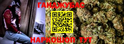 индика Беслан