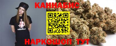 индика Беслан