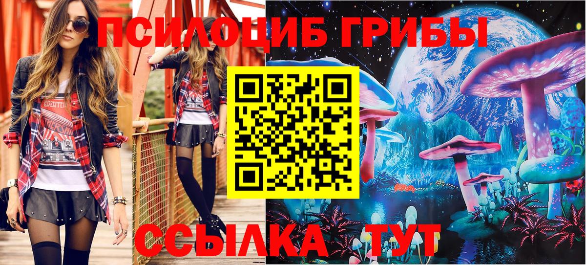 Галлюциногенные грибы ЛСД  Галлюциногенные грибы Cubensis  Димитровград 