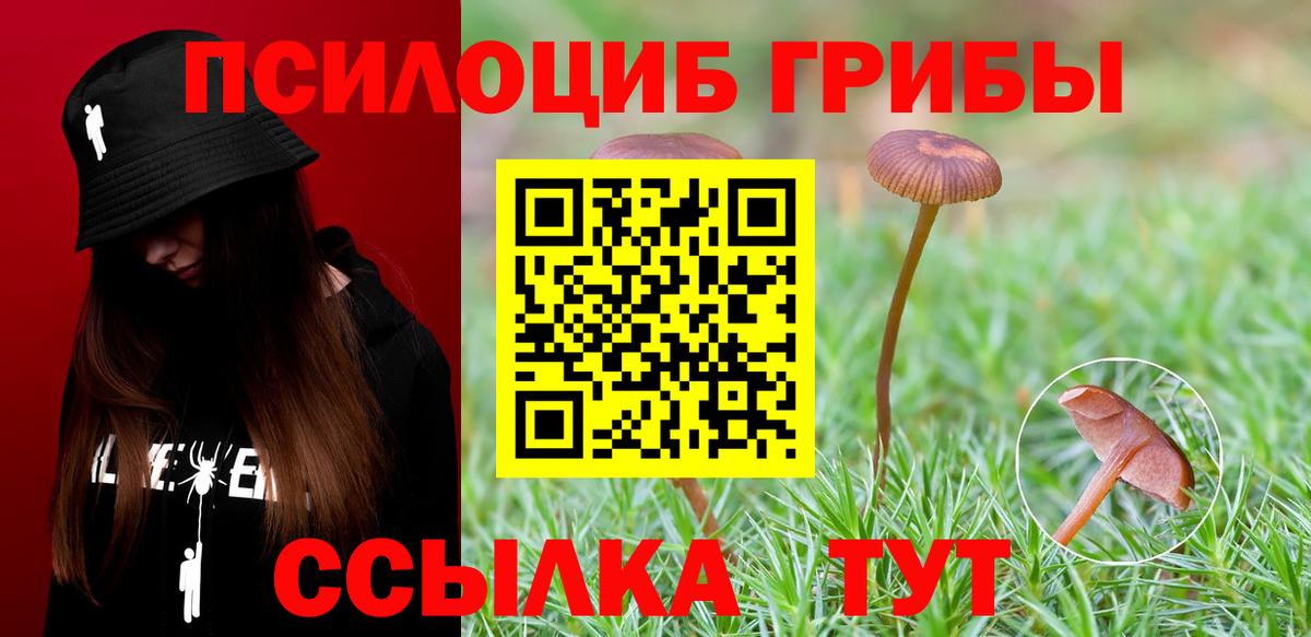 Псилоцибиновые грибы прущие грибы Димитровград